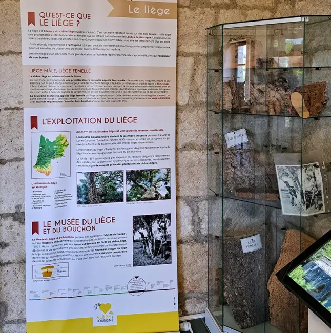 Exposition dans la salle principale du Moulin des Tours © Albret Tourisme